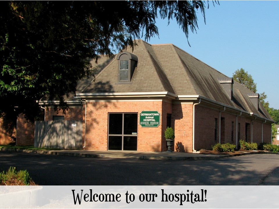 Twistmark Media Network › Germantown Animal Hospital